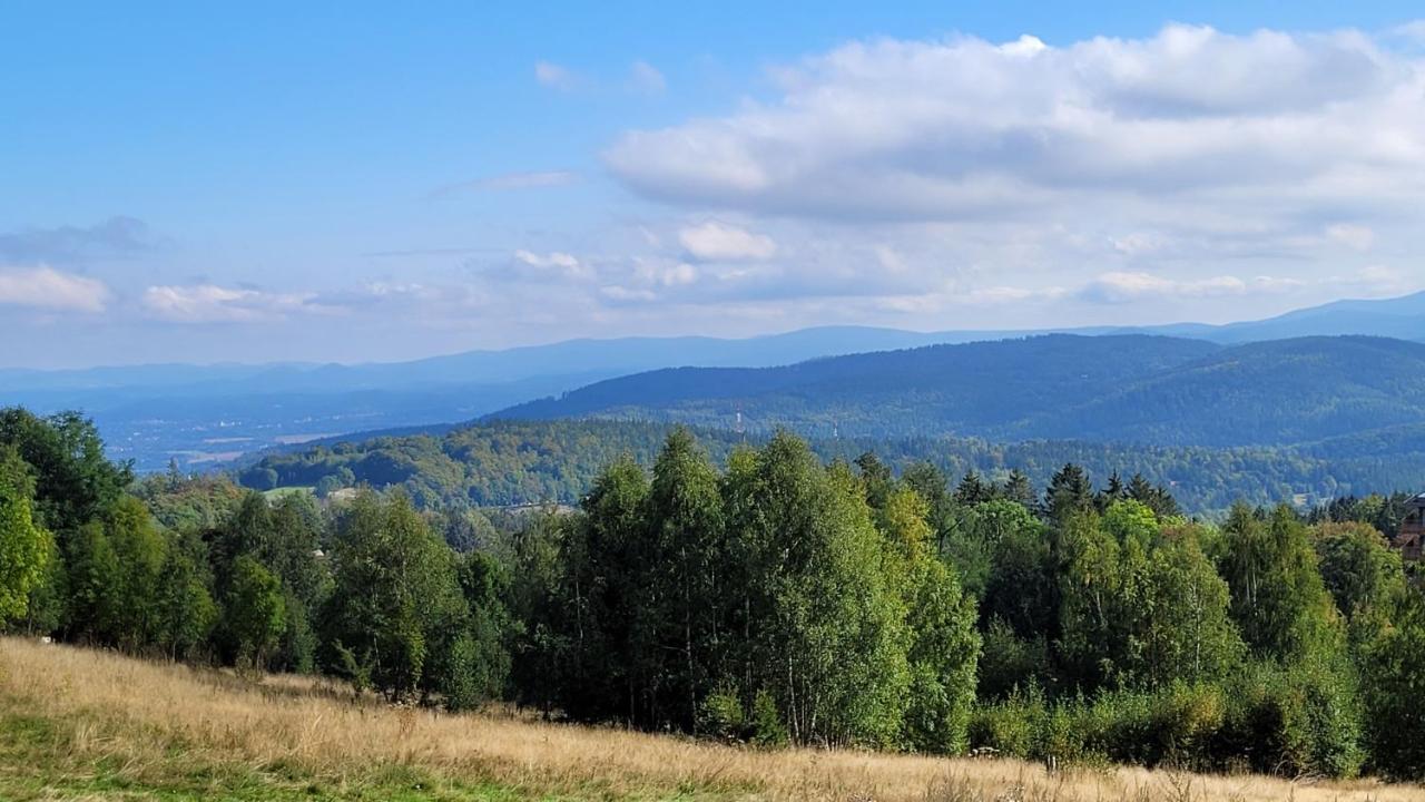 Mlynkowka Apartament